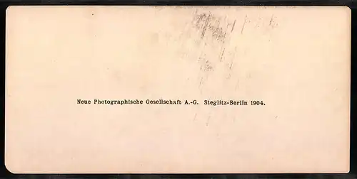 Stereo-Fotografie NPG, Berlin, Ansicht Nice, Le couvent des Augustines