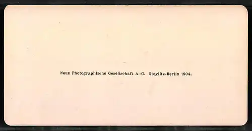 Stereo-Fotografie NPG, Berlin, Ansicht Nice, Vue prise des nouveaux Jardins