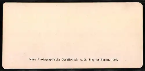 Stereo-Fotografie NPG, Berlin, Ansicht Evian, Le Port, Blick auf den Hafen