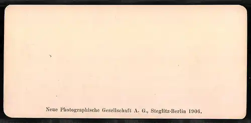 Stereo-Fotografie NPG, Berlin, Ansicht Bruges, Le pont du Beguinage et Notre Dame