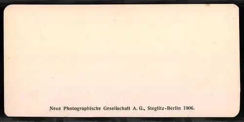 Stereo-Fotografie NPG, Berlin, Ansicht Fribourg, L`Hotel-de-ville