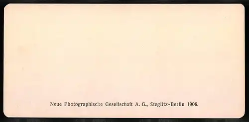 Stereo-Fotografie NPG, Berlin, Ansicht Fribourg, Le grand pont suspenda et la Cathedrale