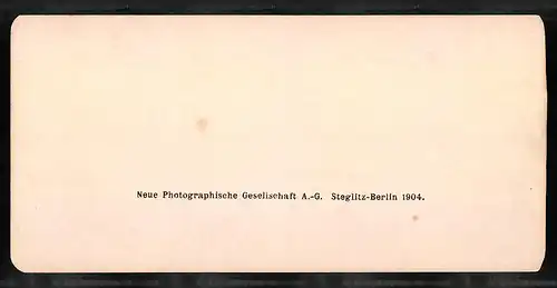 Stereo-Fotografie NPG, Berlin, Ansicht Menton, Le port, der Haven mit Segelschiffen