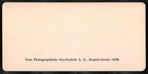 Stereo-Fotografie NPG, Berlin, Ansicht Bruges, L`Hopiee de la Poterio