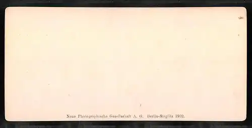 Stereo-Fotografie NPG, Berlin, Ansicht Genova, S. Stefano e ponte monumentale