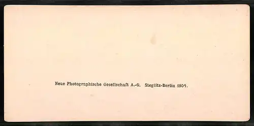 Stereo-Fotografie NPG, Berlin, Ansicht Venezia, Canal Grande, Palazzo Foscari