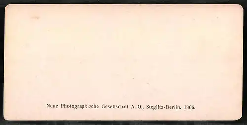 Stereo-Fotografie NPG, Berlin, Ansicht Luzern, Quai National, Hafen