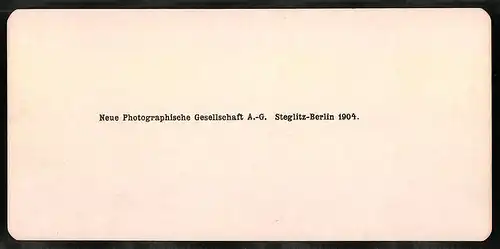 Stereo-Fotografie NPG, Berlin, Ansicht Napoli, Sa. Maria del Carmine
