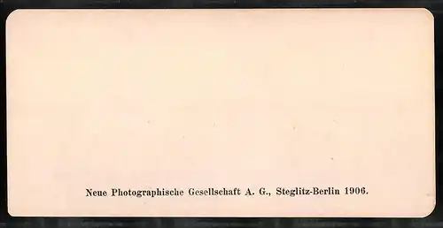 Stereo-Fotografie NPG, Berlin, Ansicht Venezia, Canal Grande, Palazzo Pisani