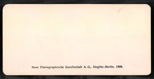 Stereo-Fotografie NPG, Berlin, Ansicht Venezia, Canal Grande, perspettiva del palazzi