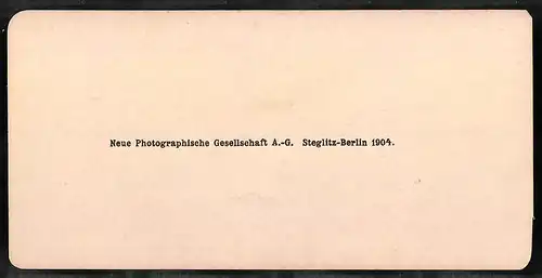 Stereo-Fotografie NPG, Berlin, Ansicht Napoli, Panorama dal porto