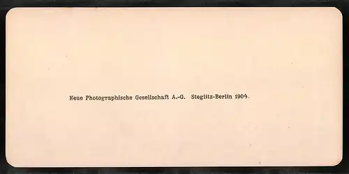 Stereo-Fotografie NPG, Berlin, Ansicht Venezia, La Dogana e Sa. maria della Salute