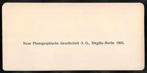 Stereo-Fotografie NPG, Berlin, Ansicht Roma, Ruderi del ponte d`Emilio