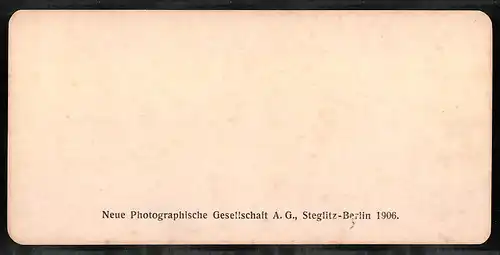 Stereo-Fotografie NPG, Berlin, Ansicht Bern, Das Bernische Historische Museum