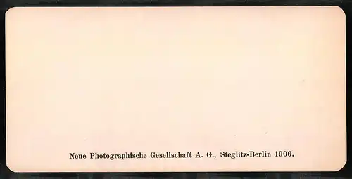 Stereo-Fotografie NPG, Berlin, Ansicht Venezia, Colonne di S. Marco e la Salute