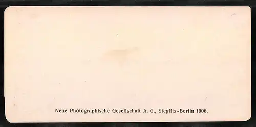 Stereo-Fotografie NPG, Berlin, Ansicht Zürich, Blick auf das Landes-Museum