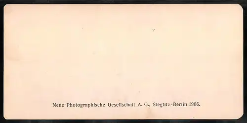 Stereo-Fotografie NPG, Berlin, Ansicht Pompei, Cortile nella casa dei Vertii