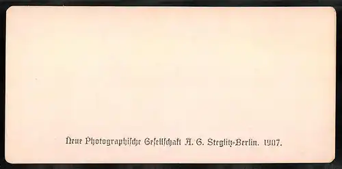 Stereo-Fotografie NPG, Berlin, Ansicht Venezia, Panorama verso il Lido