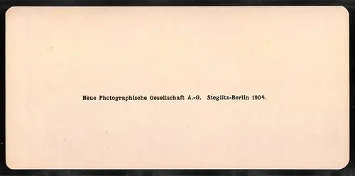 Stereo-Fotografie NPG, Berlin, Ansicht Napoli, Strada Sa. Lucia col Vesuvio