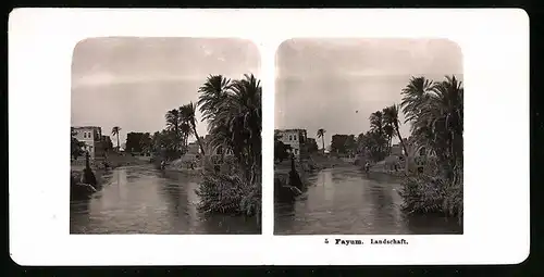 Stereo-Fotografie NPG, Berlin, Ansicht Fayum, Flusspartie mit Landschaft