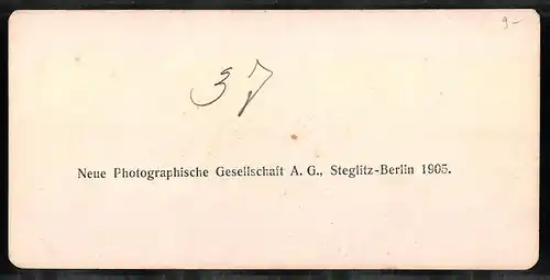 Stereo-Fotografie NPG, Berlin, Ansicht Fayum, Flusspartie mit Landschaft