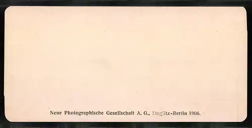 Stereo-Fotografie NPG, Berlin, Ansicht Genua. Strandpartie in Nervi