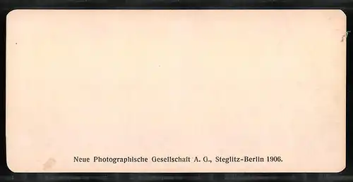 Stereo-Fotografie NPG, Berlin, Ansicht Roma, Palatino, Ruderi del Temio d`Adriano