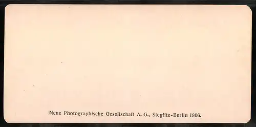 Stereo-Fotografie NPG, Berlin, Ansicht Roma, Le Terme di Caracalla, palestra dei gladiatori