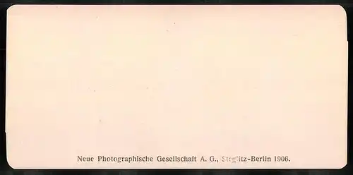 Stereo-Fotografie NPG, Berlin, Ansicht Roma, S. Lorenzo fuori le mura, Interno