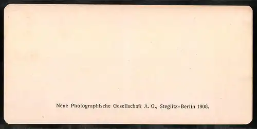 Stereo-Fotografie NPG, Berlin, Ansicht Pompei, Il foro triangolare
