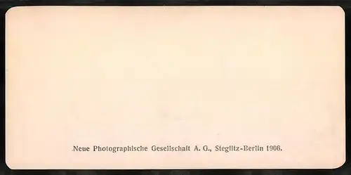 Stereo-Fotografie NPG, Berlin, Ansicht Pompei, Cortile nella casa dei Vettil