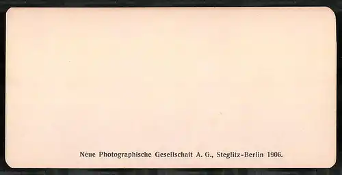 Stereo-Fotografie NPG, Berlin, Ansicht Roma, Coliseo, veduta generale