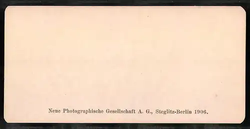 Stereo-Fotografie NPG, Berlin, Ansicht Roma, Palatino, Belvedere del Tempio di Settimo-Severo