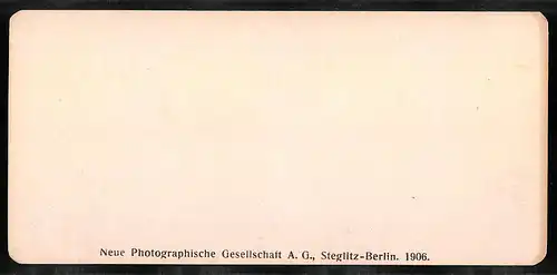 Stereo-Fotografie NPG, Berlin, Ansicht Venezia, Panorama da S. Giorgio Maggiore