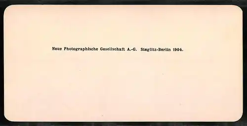 Stereo-Fotografie NPG, Berlin, Ansicht Roma, Sa. Maria Trastevere, Interno