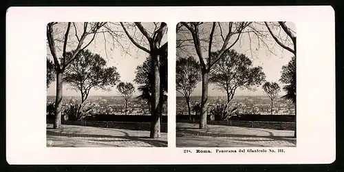 Stereo-Fotografie NPG, Berlin, Ansicht Roma, Panorama dal Gianicolo No. 111