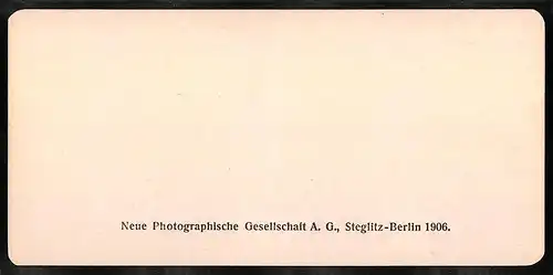 Stereo-Fotografie NPG, Berlin, Ansicht Bern, Die Aare und die Nydeckbrücke