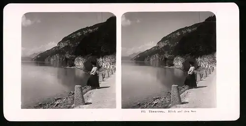 Stereo-Fotografie NPG, Berlin, Ansicht Unterseen, Dame steht am Ufer und Blickt auf den See