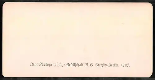 Stereo-Fotografie NPG, Berlin, Ansicht Unterseen, Dame steht am Ufer und Blickt auf den See