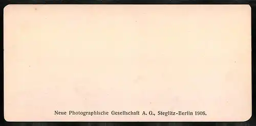 Stereo-Fotografie NPG, Berlin, Ansicht Thunersee, Blick auf den Thunersee mit Landstrasse