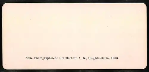 Stereo-Fotografie NPG, Berlin, Ansicht Potsdam, Vorhalle der Friedenskirche