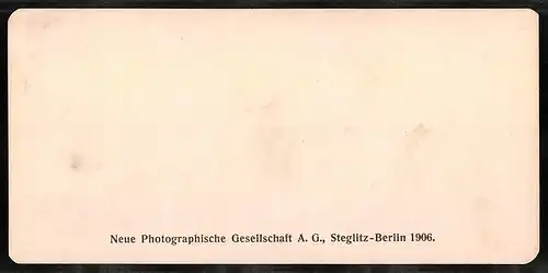 Stereo-Fotografie NPG, Berlin, Ansicht Liege, La palais de Justive, La galerie de la 2e cour