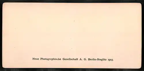 Stereo-Fotografie NPG, Berlin, Ansicht Paris, Versailles, le Chateau la Galerie des Glaces