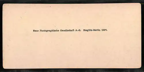 Stereo-Fotografie NPG, Berlin, Ansicht Paris, Luxembourg, L`Aurore par Delaplanche