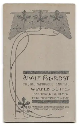 Fotografie Adolie Herbst, Wolfenbüttel, Langeherzogstrasse 38, Mann mit Fliege, schütterem Haar und Vollbart