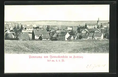 AK Benneckenstein im Hochharz, Panorama vom Ort