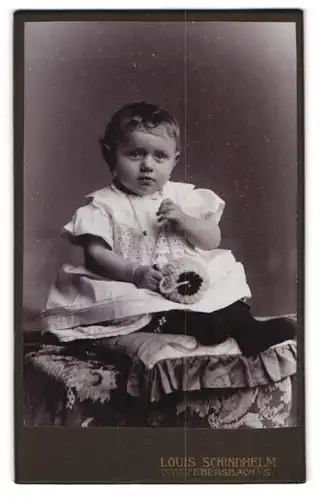 Fotografie Louis Schindhelm, Ebersbach i. S., Süsses Kleinkind im hübschen Kleid
