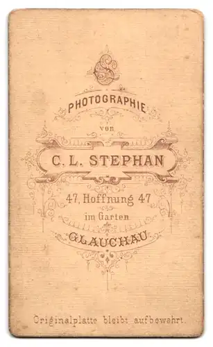 Fotografie C. L. Stephan, Glauchau, Hoffnung 47, Junger Herr im karierten Anzug mit Fliege