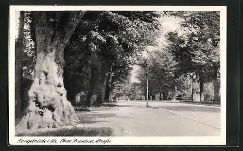 AK Langebrück i. Sa., Obere Dresdner Strasse