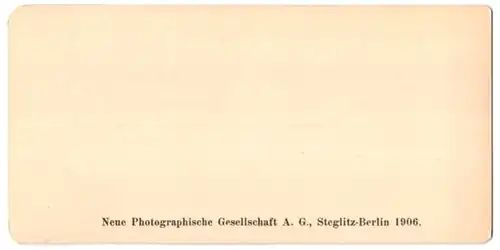 Stereo-Fotografie NPG, Berlin, Ansicht Liege, La cathedrale St. Paul mit Hotel Mohren